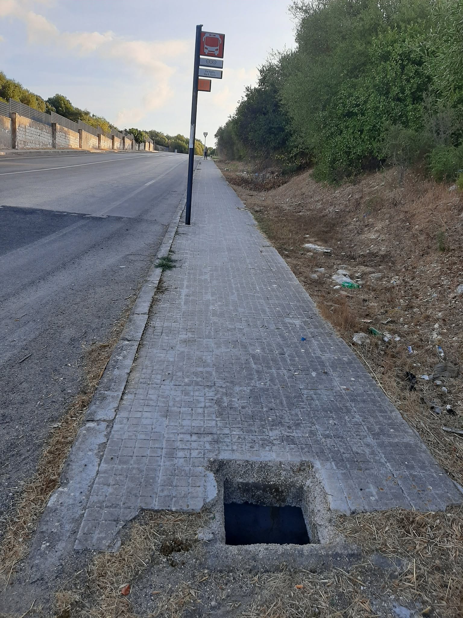 sassari