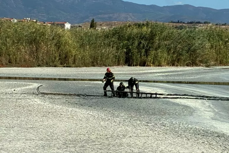 turiste