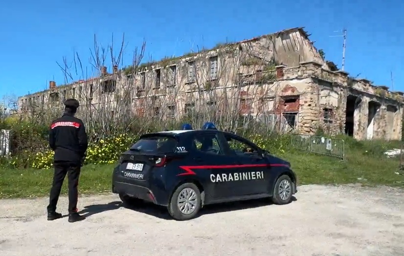 carabierialgherocshel